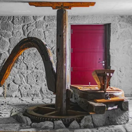 Quinta Dos Misterios- Turismo De Habitacao Privatunterkunft