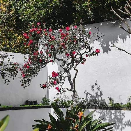 Privatunterkunft Quinta Dos Misterios- Turismo De Habitacao *